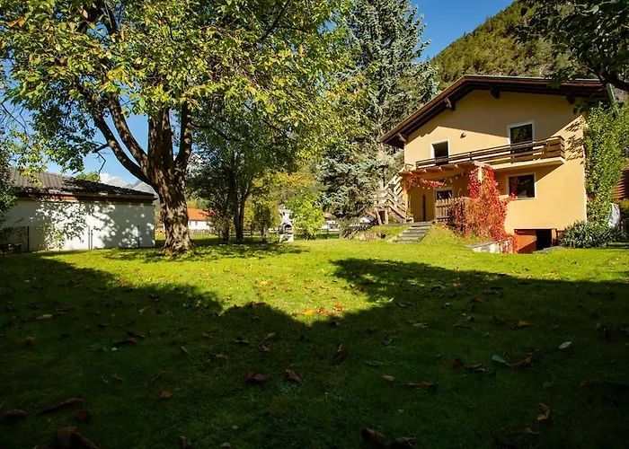 Silbertanne * Pettnau