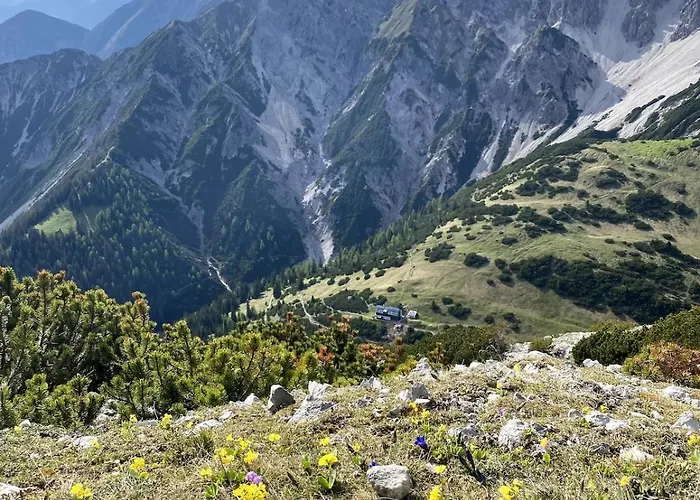 Silbertanne Lägenhet *
