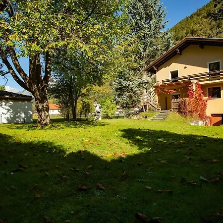 Silbertanne * Pettnau